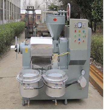 Máy ép dầu đậu phộng lọc chân không 6YL-120A